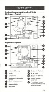 A technical diagram titled "Routine Service" showing engine compartment service points for both 6-cylinder and 8-cylinder Ford truck engines.